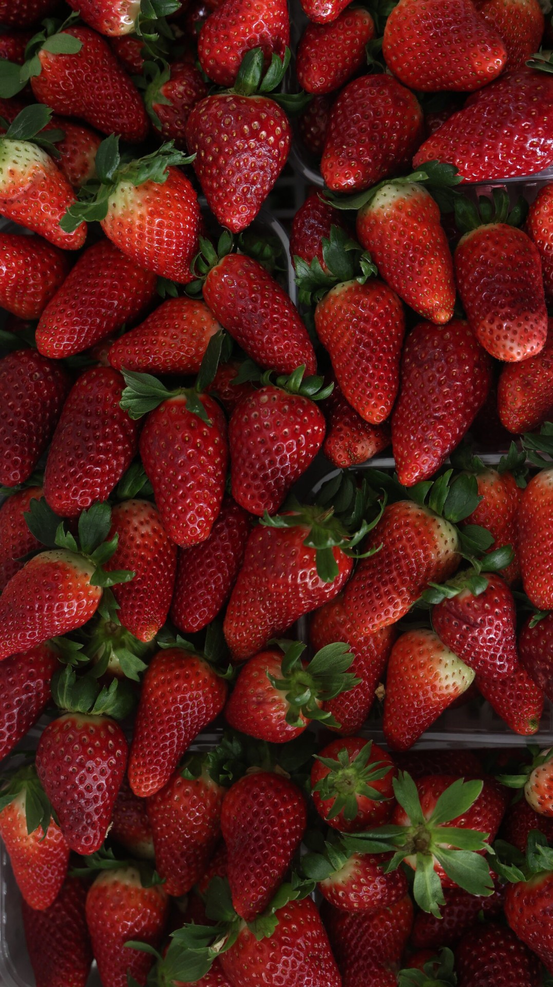 Frutta fresca